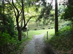 向横田城・登山道