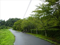 久利町の山邊八代姫命神社前の道路