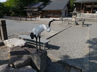 物部神社の鶴