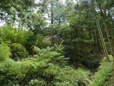 参道から見た石見銀山の佐毘売山神社