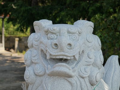 迩幣姫神社の狛犬・阿・アップ