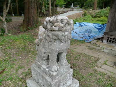 豊栄神社の狛犬・吽・座型