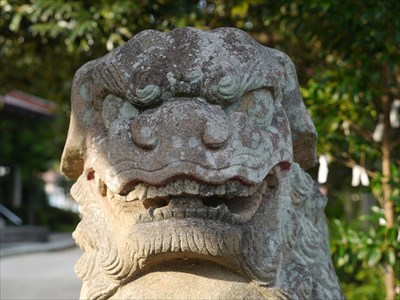 野井神社の狛犬・阿・アップ