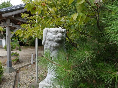 苅田神社の狛犬・阿・その２