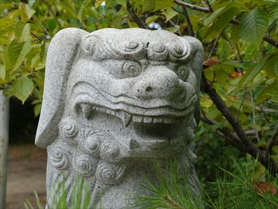 苅田神社の狛犬・阿・アップ