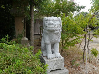 苅田神社の狛犬・吽・その２