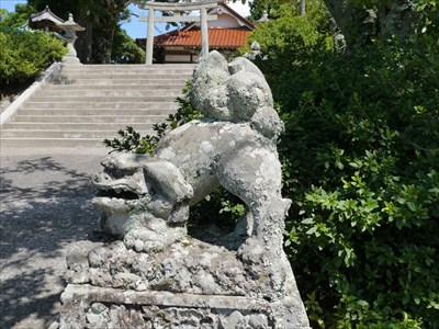 佐比賣山神社（多根）の狛犬・阿