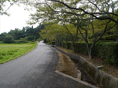 山邊八代姫命神社の参道