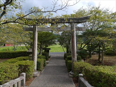 山邊八代姫命神社の参道と鳥居