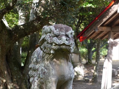 刺鹿神社の狛犬・吽・アップ