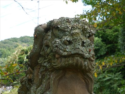 刺鹿神社の狛犬・吽・アップ