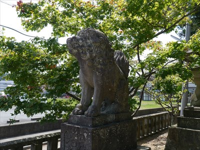 神楽岡八幡宮の狛犬・吽