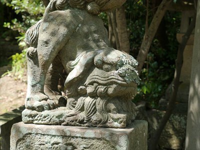 神楽岡八幡宮の狛犬・吽・アップ