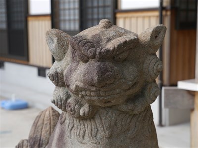 水上神社の狛犬・吽・アップ