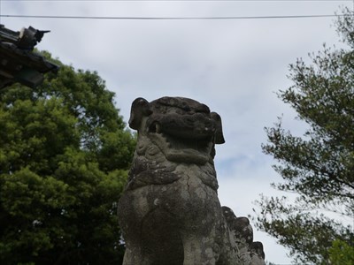 静間神社の狛犬・阿・アップ