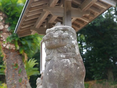 静間神社の狛犬・吽・アップ