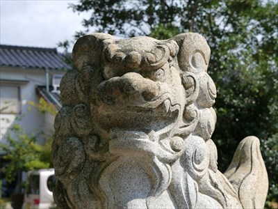岩根神社の狛犬・阿・アップ