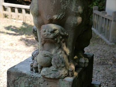 島根県江津市の津門神社の狛犬・吽・子獅子