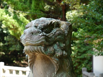 島根県江津市の津門神社の狛犬・吽・アップ
