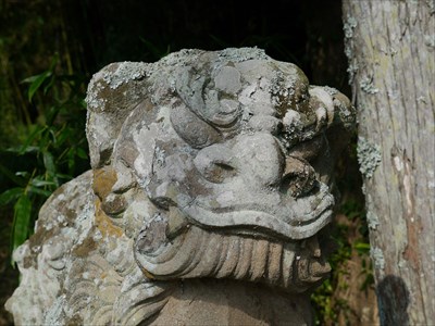 夜須神社の狛犬・吽・アップ