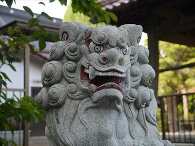 大年神社（都野津町）の狛犬・阿・アップ