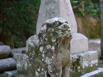 大飯彦命神社の狛犬・吽・アップ