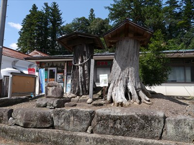 賀茂神社・枯木二本。伝説の名馬・池月を繋いだとされる木