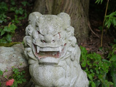 志都岩屋神社の狛犬・阿・アップ