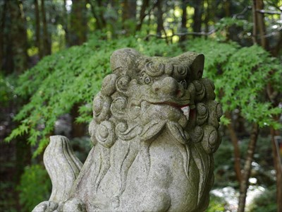 志都岩屋神社の狛犬・吽・アップ