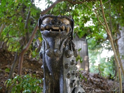 国分寺霹靂神社の狛犬・阿・アップ