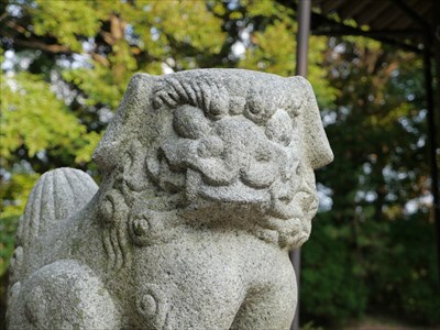 国分寺霹靂神社の狛犬・吽・アップ