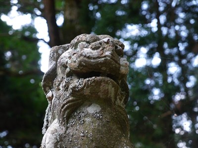 大麻山神社の狛犬・阿・アップ