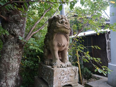 今宮神社の狛犬・吽