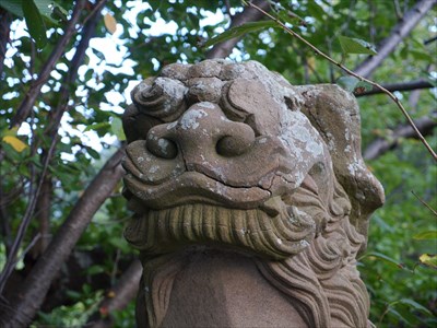 今宮神社の狛犬・吽・アップ