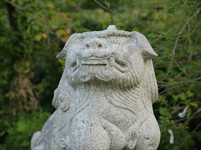 今宮神社の狛犬・吽・アップ