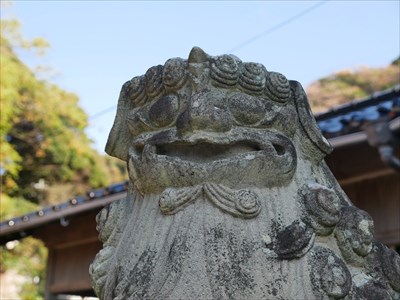 須賀神社の狛犬・阿・アップ