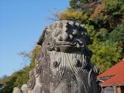 須賀神社の狛犬・吽・アップ