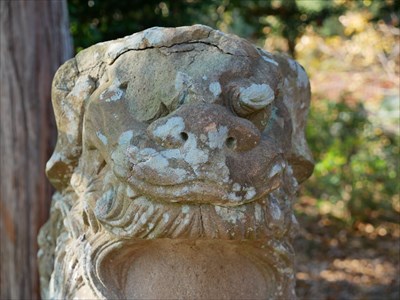 浅井神社の狛犬・吽・アップ