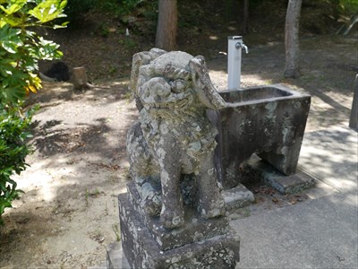 長澤神社の狛犬・吽