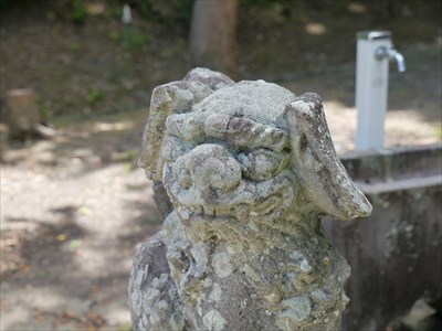 長澤神社の狛犬・吽・アップ