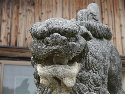 櫛代賀姫神社の狛犬・阿・アップ
