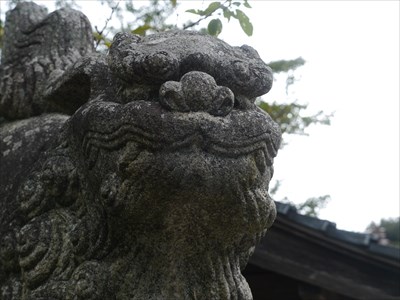 櫛代賀姫神社の狛犬・吽・アップ