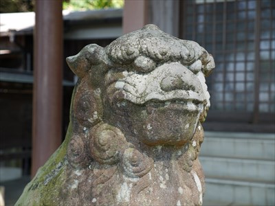 住吉神社の狛犬・吽・アップ