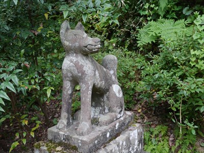 高津柿本神社・稲荷神社・狐像