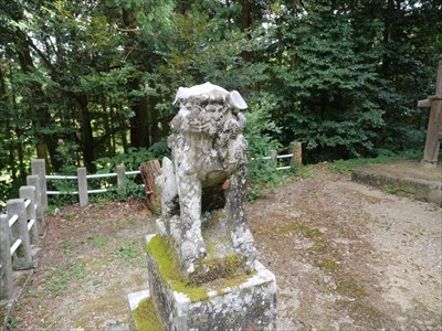 戸田柿本神社の狛犬・吽