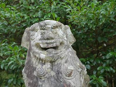 佐毘賣山神社の狛犬・阿・アップ