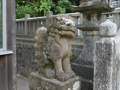 大日霊神社の狛犬・吽