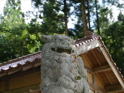 奇鹿神社（柿木村）の狛犬・阿・アップ