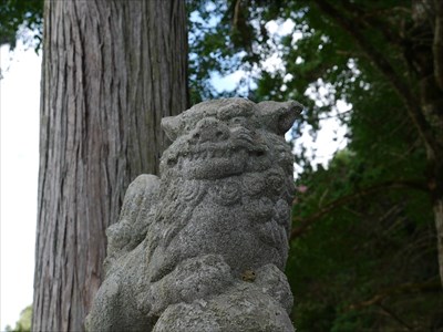 奇鹿神社（柿木村）の狛犬・吽・アップ