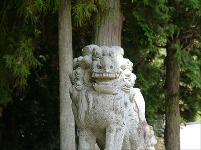 奇鹿神社の狛犬・阿・アップ